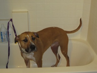 Simon isn't crazy about bath time.